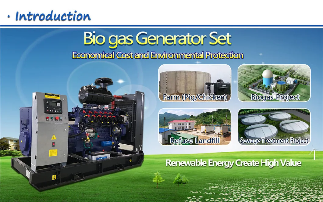 Biogas Generator CHP Cogeneration Power Plant