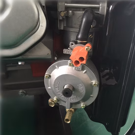 Мощность 5 кВт природного генератора сжиженного нефтяного газа, электрогенератора на биогазе, портативного двухтопливного бензинового генератора сжиженного нефтяного газа