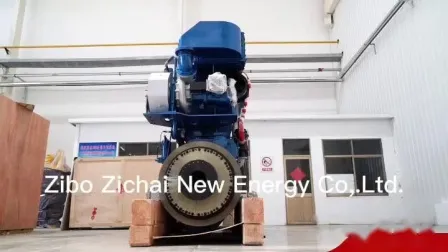 Производитель биогазовых электростанций, работающих на синтез-газе, биомассе, мощностью 750 кВт.