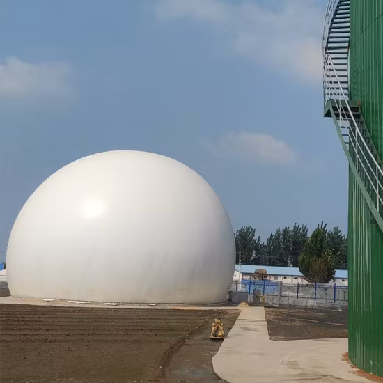 Биогазовая электростанция на навозе скота