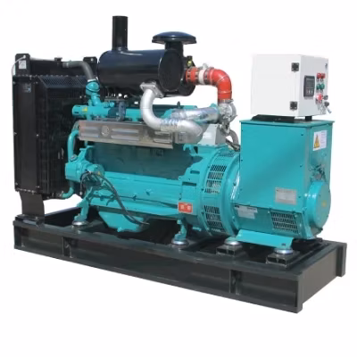 Профессиональный бесшумный генератор биомассы природного газа CNG мощностью 30 кВт, поставщик электростанции