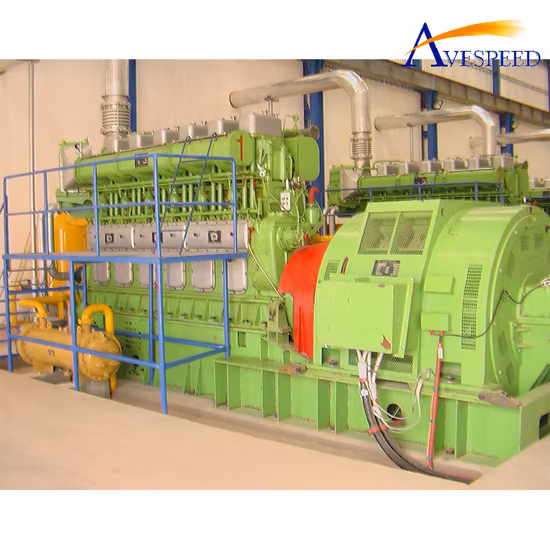 Электростанция мощностью 15 МВт с дизельным топливом/HFO/NG/двойным топливом/маслом для шин, запасными частями